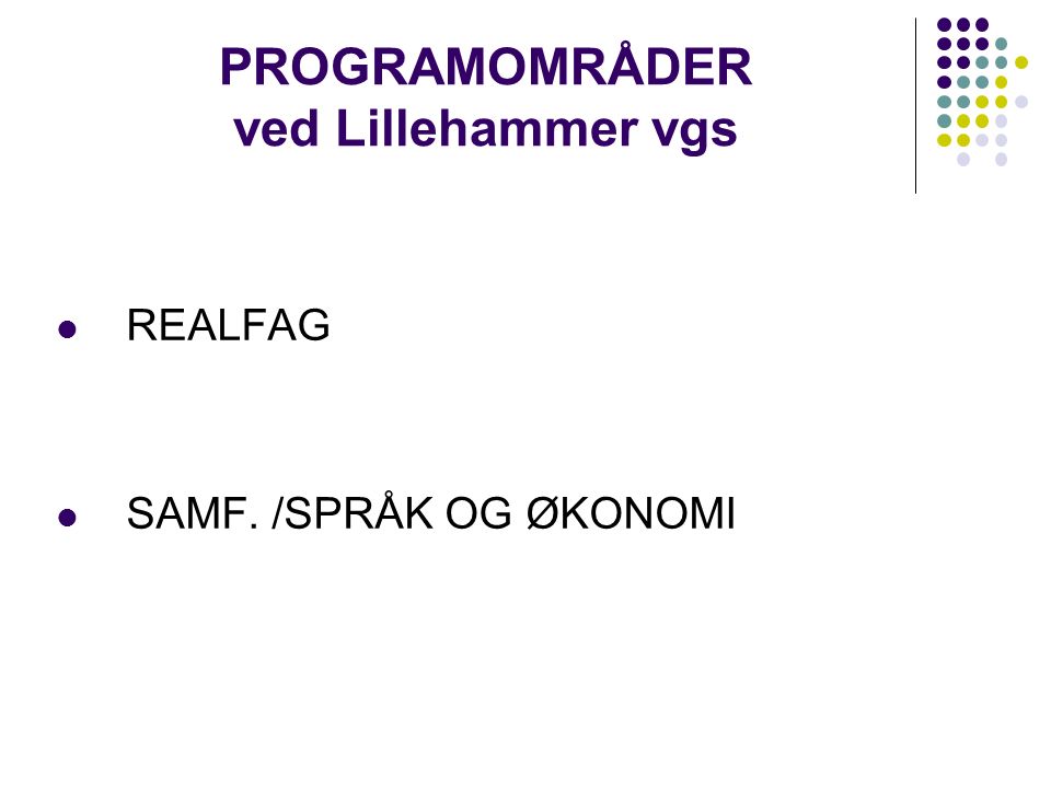 PROGRAMOMRÅDER ved Lillehammer vgs REALFAG SAMF. /SPRÅK OG ØKONOMI