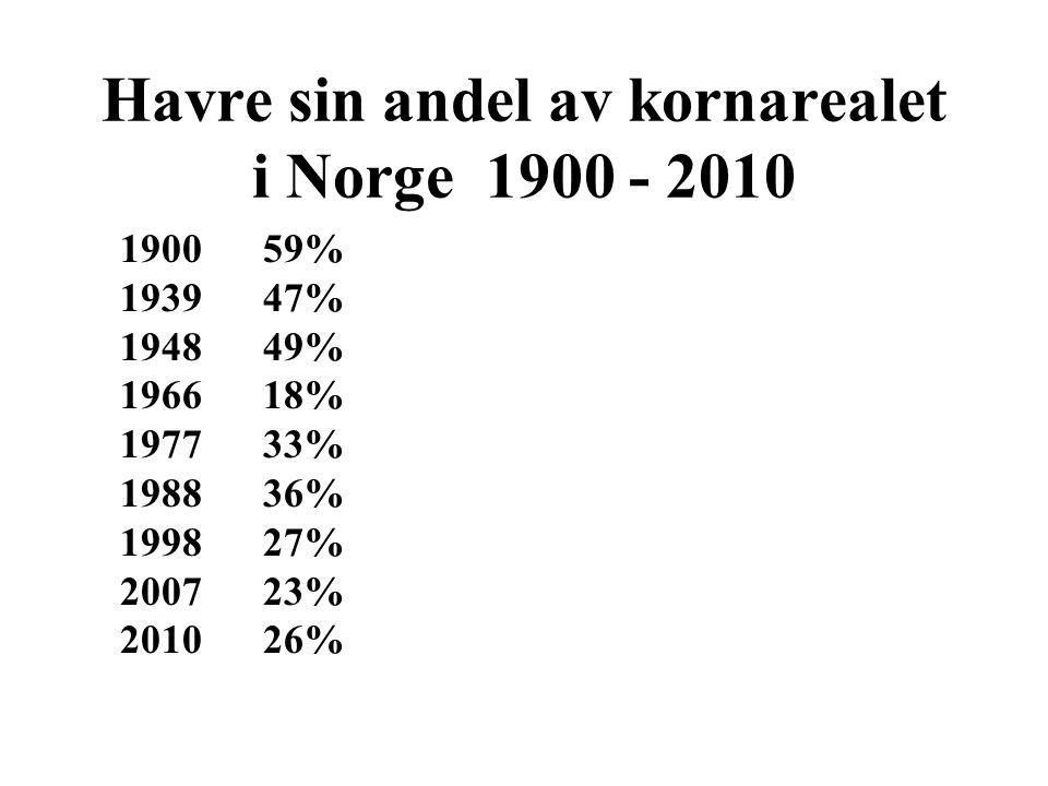 Havre sin andel av kornarealet i Norge % % % % % % % % %