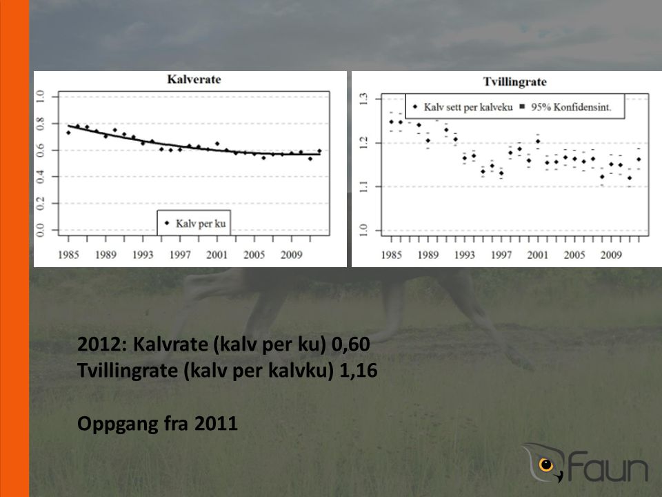 2012: Kalvrate (kalv per ku) 0,60 Tvillingrate (kalv per kalvku) 1,16 Oppgang fra 2011