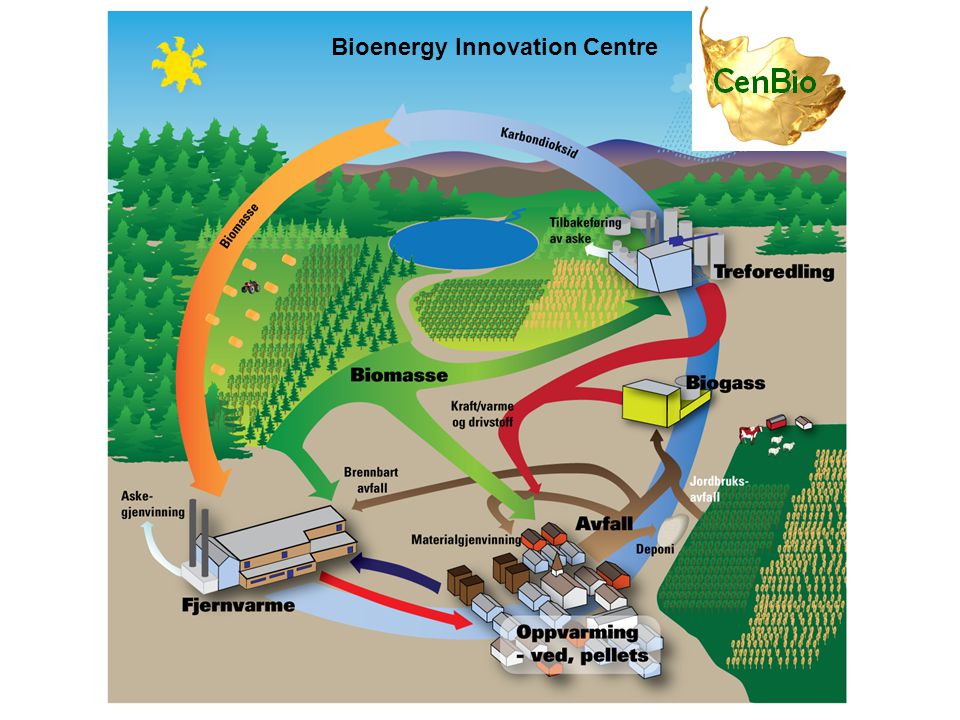 Bioenergy Innovation Centre