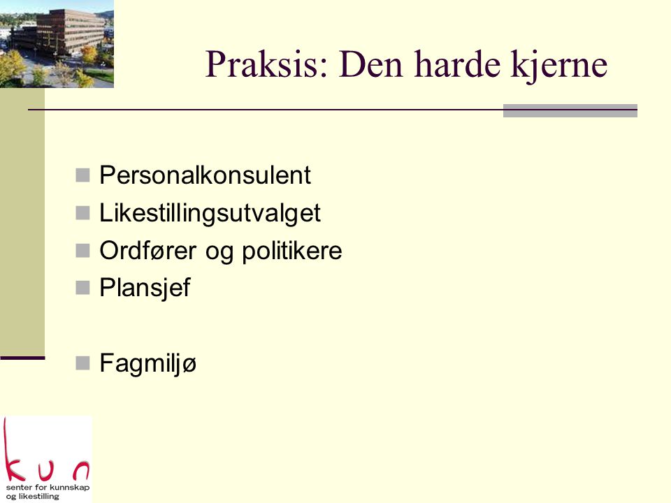 Praksis: Den harde kjerne  Personalkonsulent  Likestillingsutvalget  Ordfører og politikere  Plansjef  Fagmiljø