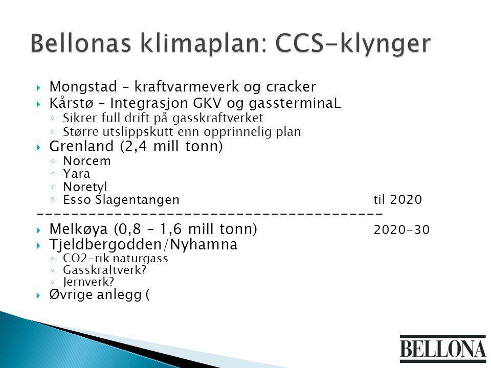  Mongstad – kraftvarmeverk og cracker  Kårstø – Integrasjon GKV og gassterminaL ◦ Sikrer full drift på gasskraftverket ◦ Større utslippskutt enn opprinnelig plan  Grenland (2,4 mill tonn) ◦ Norcem ◦ Yara ◦ Noretyl ◦ Esso Slagentangentil  Melkøya (0,8 – 1,6 mill tonn)  Tjeldbergodden/Nyhamna ◦ CO2-rik naturgass ◦ Gasskraftverk.