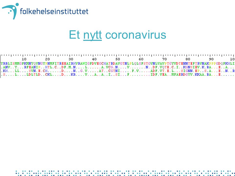 Et nytt coronavirus