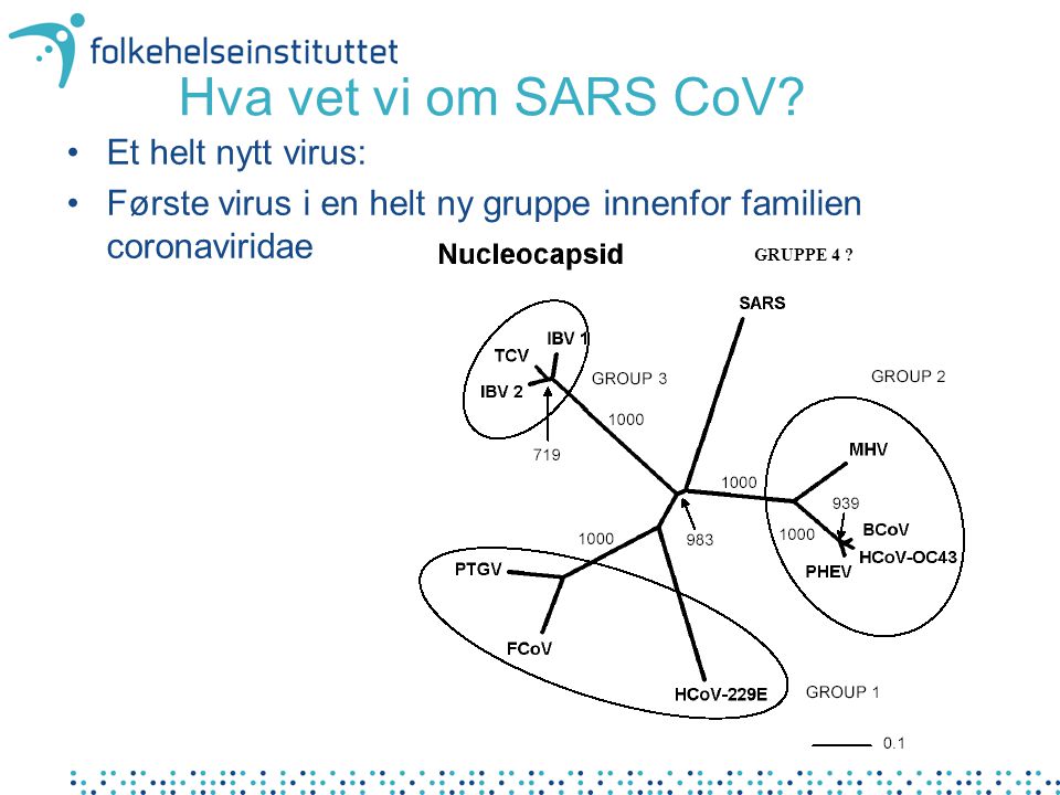 Hva vet vi om SARS CoV.