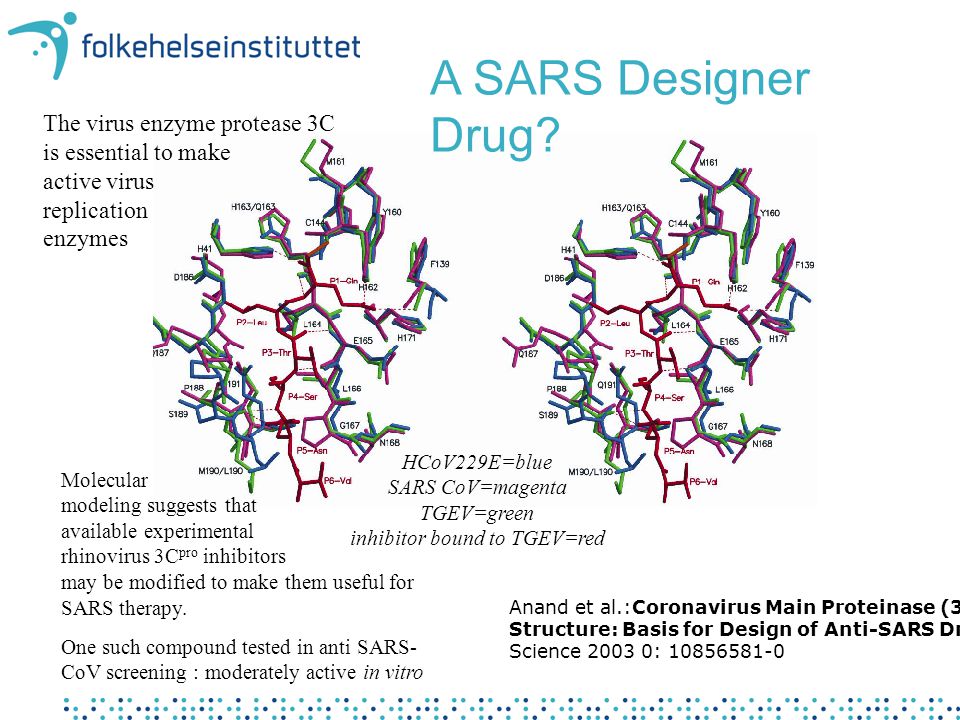 HCoV229E=blue SARS CoV=magenta TGEV=green inhibitor bound to TGEV=red Anand et al.:Coronavirus Main Proteinase (3CLpro) Structure: Basis for Design of Anti-SARS Drugs Science : Molecular modeling suggests that available experimental rhinovirus 3C pro inhibitors may be modified to make them useful for SARS therapy.