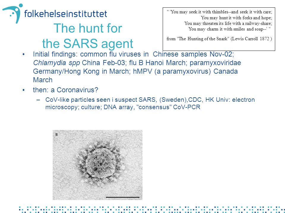 The hunt for the SARS agent •Initial findings: common flu viruses in Chinese samples Nov-02; Chlamydia spp China Feb-03; flu B Hanoi March; paramyxoviridae Germany/Hong Kong in March; hMPV (a paramyxovirus) Canada March •then: a Coronavirus.