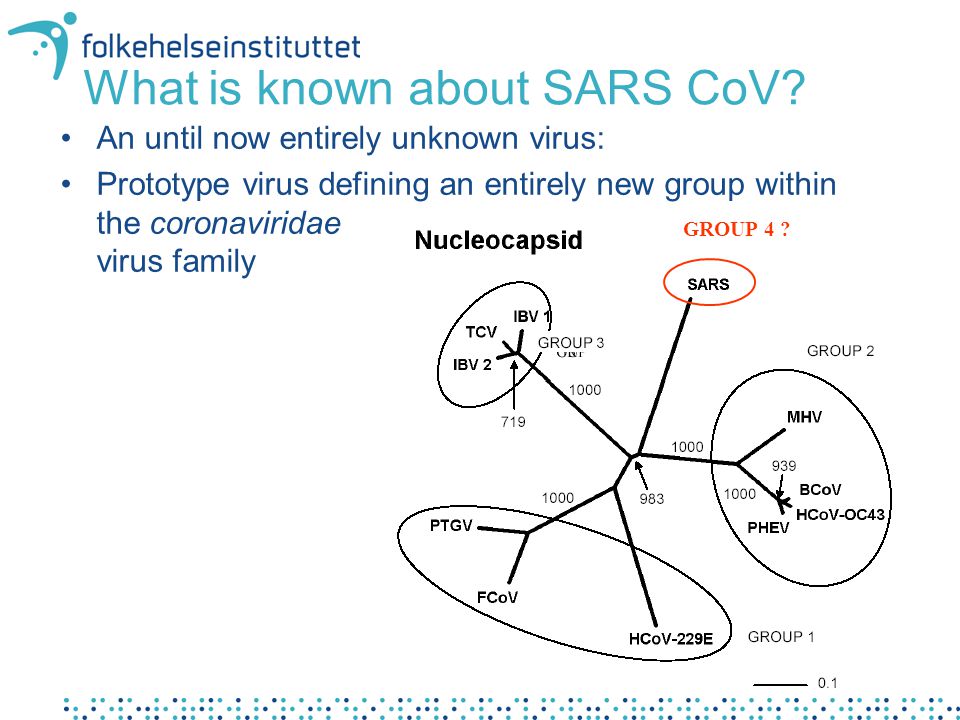What is known about SARS CoV.