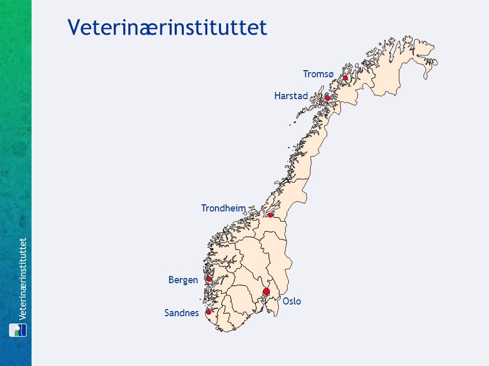 Veterinærinstituttet Tromsø Harstad Trondheim Oslo Sandnes Bergen