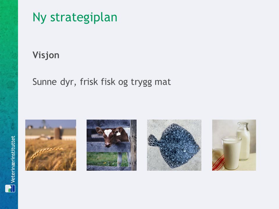 Ny strategiplan Visjon Sunne dyr, frisk fisk og trygg mat