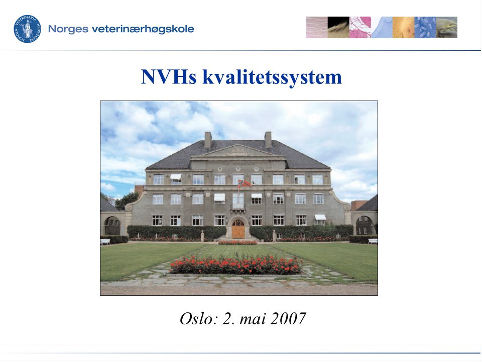NVHs kvalitetssystem Oslo: 2. mai 2007
