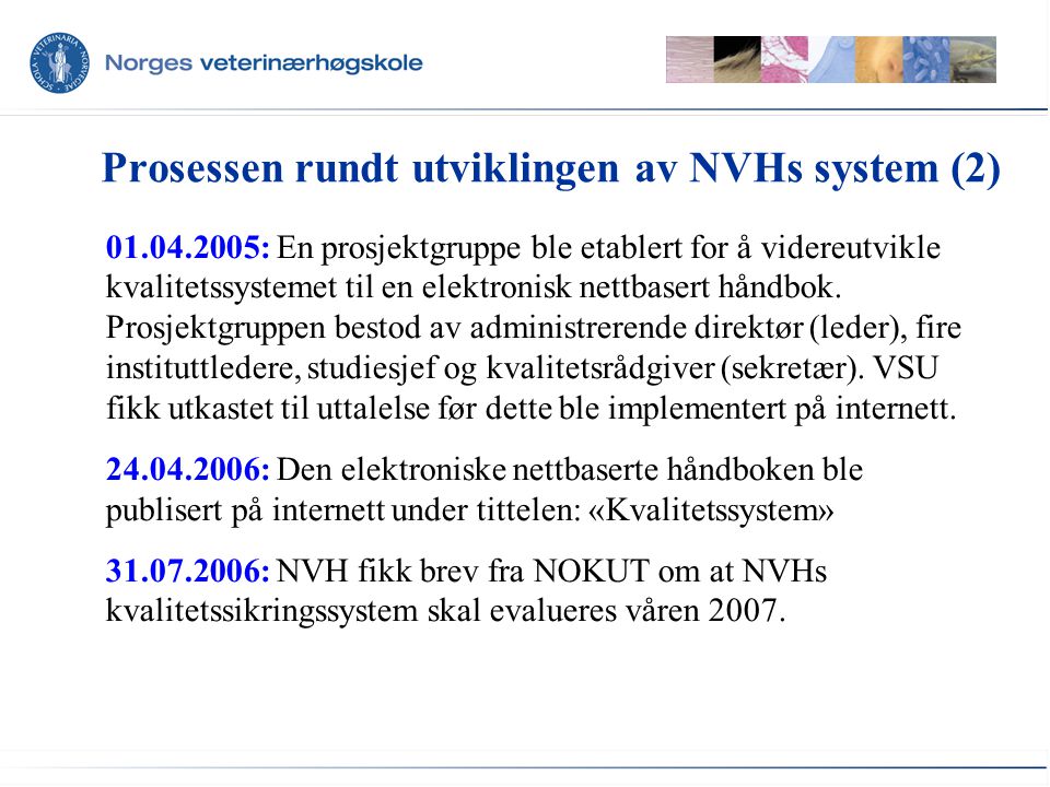 Prosessen rundt utviklingen av NVHs system (2) : En prosjektgruppe ble etablert for å videreutvikle kvalitetssystemet til en elektronisk nettbasert håndbok.