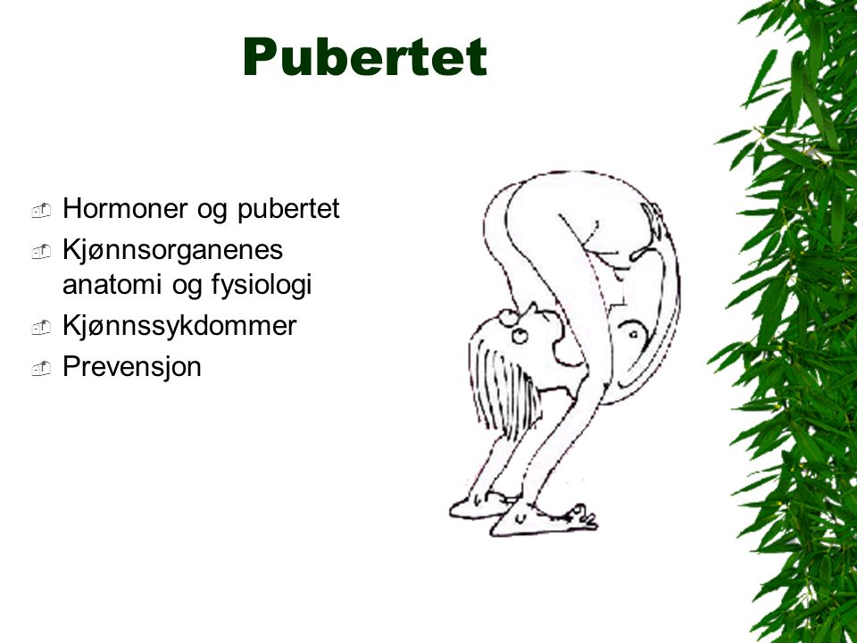 Pubertet  Hormoner og pubertet  Kjønnsorganenes anatomi og fysiologi  Kjønnssykdommer  Prevensjon