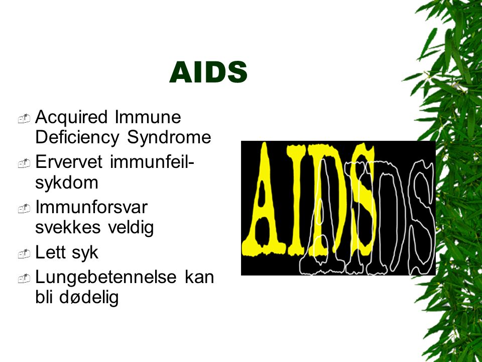 AIDS  Acquired Immune Deficiency Syndrome  Ervervet immunfeil- sykdom  Immunforsvar svekkes veldig  Lett syk  Lungebetennelse kan bli dødelig