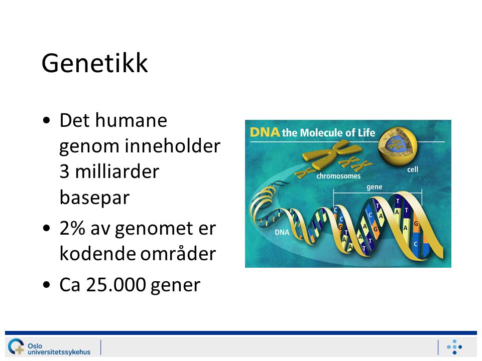 Genetikk Det humane genom inneholder 3 milliarder basepar 2% av genomet er kodende områder Ca gener