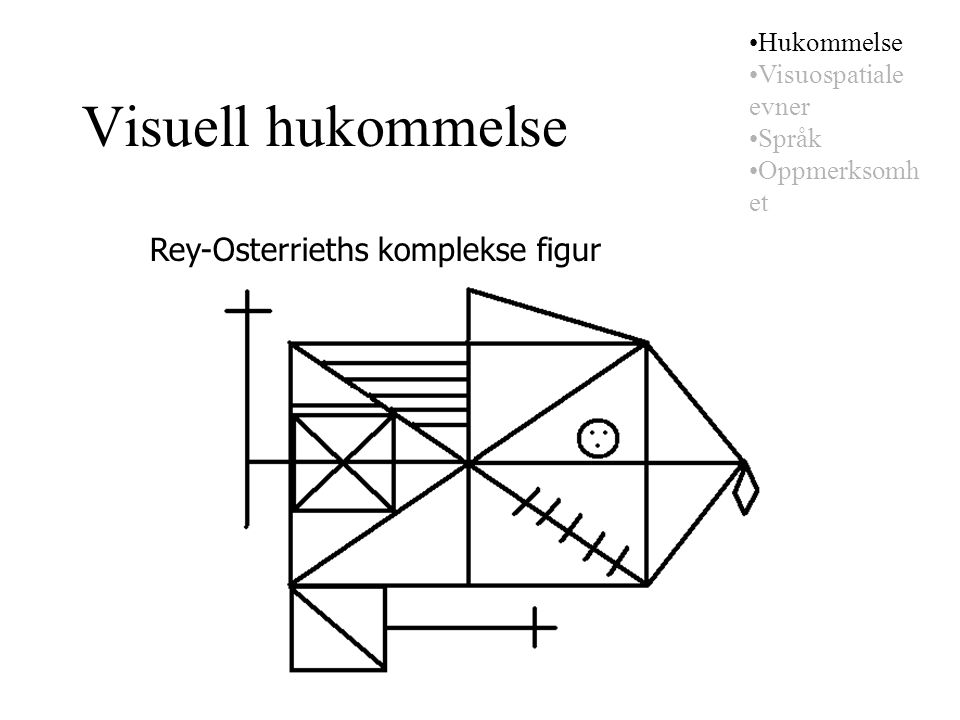 Visuell hukommelse Rey-Osterrieths komplekse figur Hukommelse Visuospatiale evner Språk Oppmerksomh et