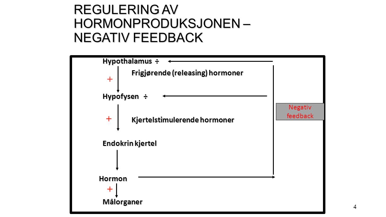4 REGULERING AV HORMONPRODUKSJONEN – NEGATIV FEEDBACK Hypothalamus ÷ Frigjørende (releasing) hormoner Hypofysen ÷ Kjertelstimulerende hormoner Endokrin kjertel Hormon HormonMålorganer Negativ feedback