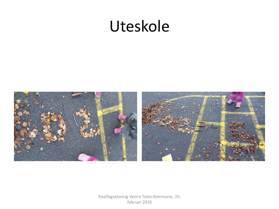 Uteskole Realfagsatsning Vestre Toten Kommune, 25. februar 2016