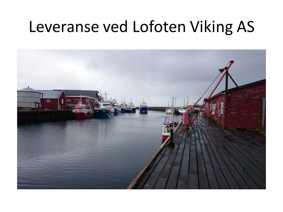 Leveranse ved Lofoten Viking AS
