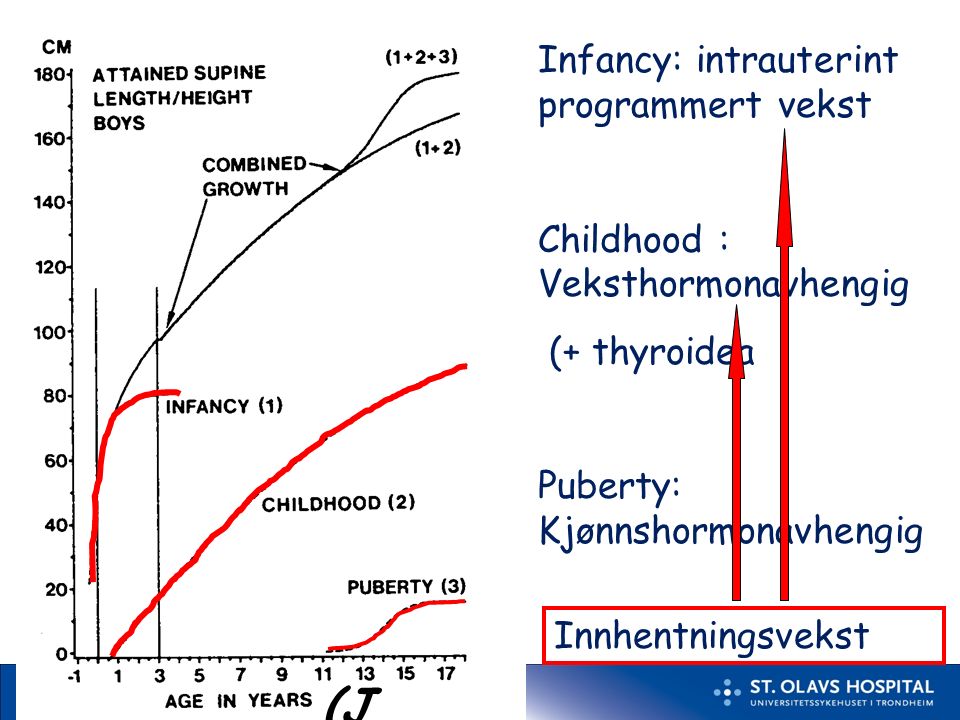 8 (J Karlberg) Infancy: intrauterint programmert vekst Childhood : Veksthormonavhengig (+ thyroidea Puberty: Kjønnshormonavhengig Innhentningsvekst