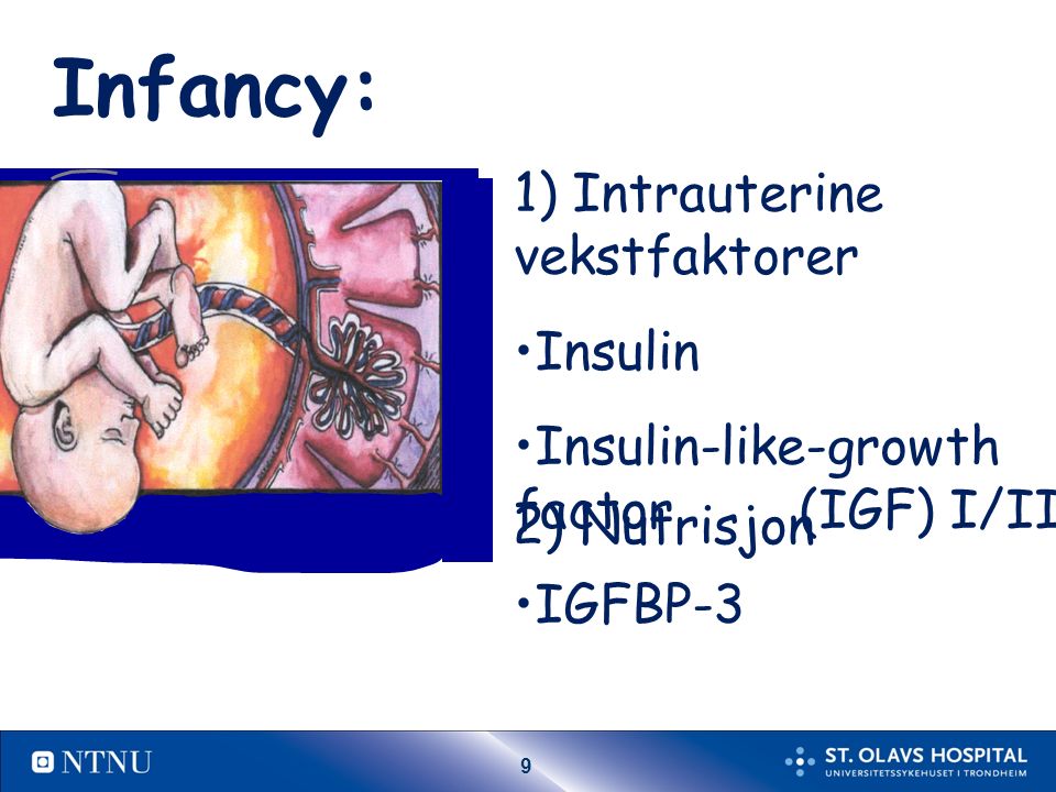 9 Infancy: 1) Intrauterine vekstfaktorer Insulin Insulin-like-growth factor (IGF) I/II IGFBP-3 2) Nutrisjon