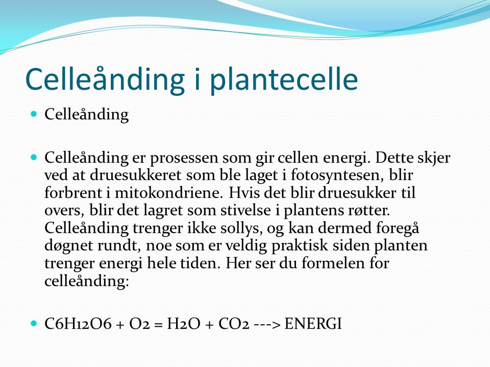 Celleånding i plantecelle Celleånding Celleånding er prosessen som gir cellen energi.
