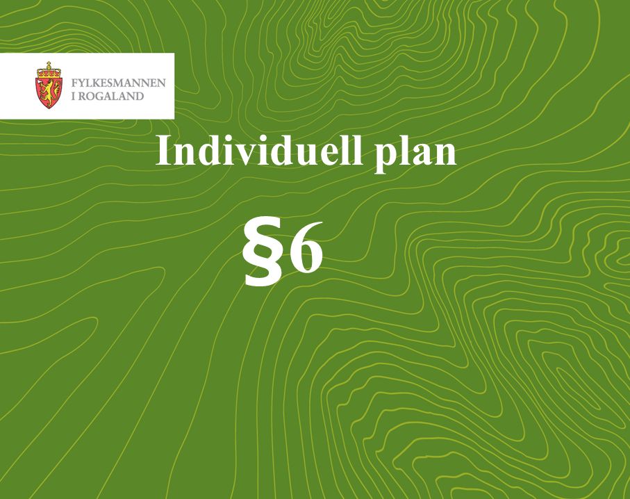 22 Individuell plan §6