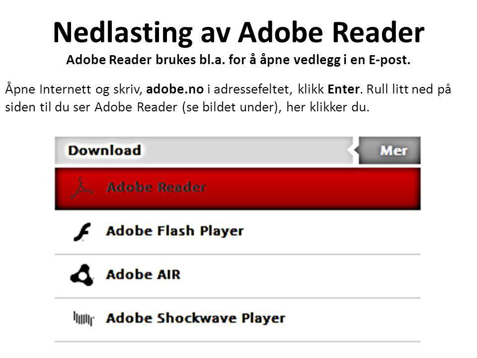 Nedlasting av Adobe Reader Adobe Reader brukes bl.a.