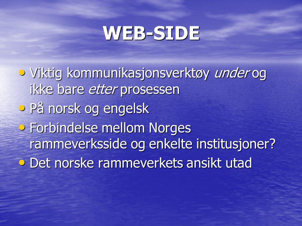WEB-SIDE • Viktig kommunikasjonsverktøy under og ikke bare etter prosessen • På norsk og engelsk • Forbindelse mellom Norges rammeverksside og enkelte institusjoner.