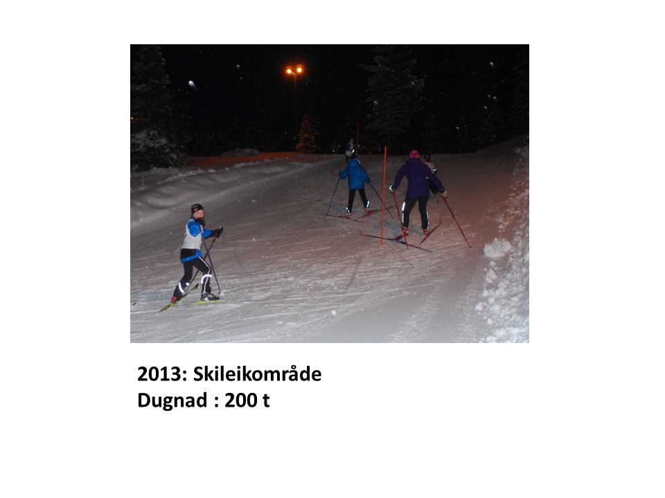 2013: Skileikområde Dugnad : 200 t