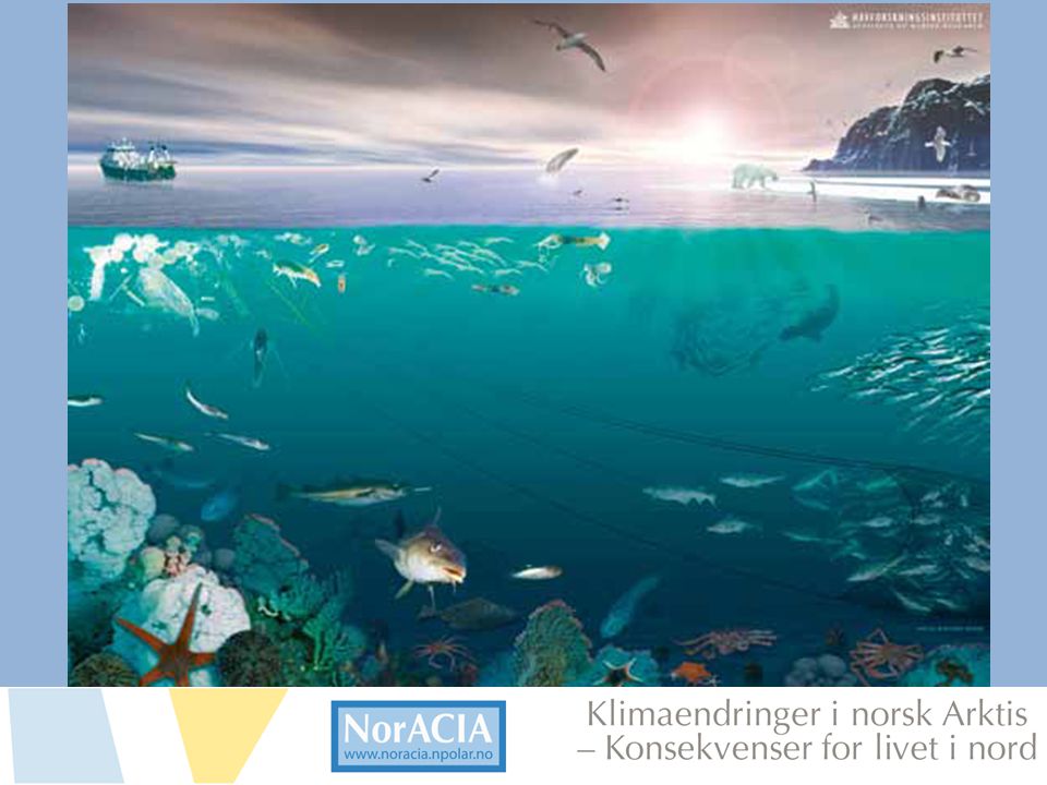 limaendringer i norsk Arktis – Knsekvenser for livet i nord