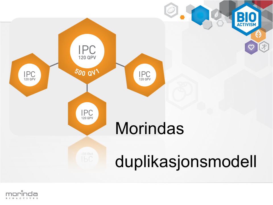Morindas duplikasjonsmodell