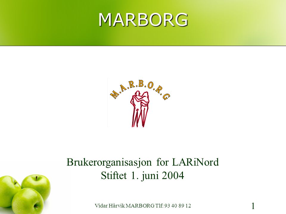 MARBORG 1 Brukerorganisasjon for LARiNord Stiftet 1.