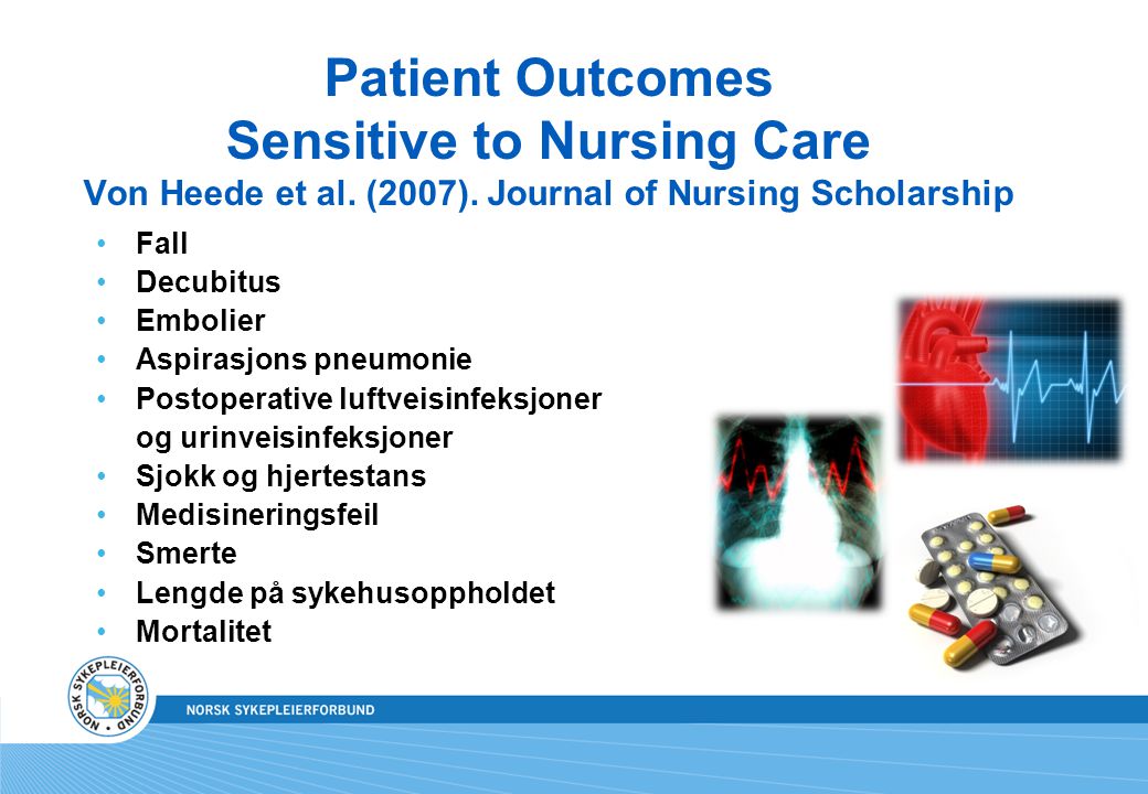 Patient Outcomes Sensitive to Nursing Care Von Heede et al.