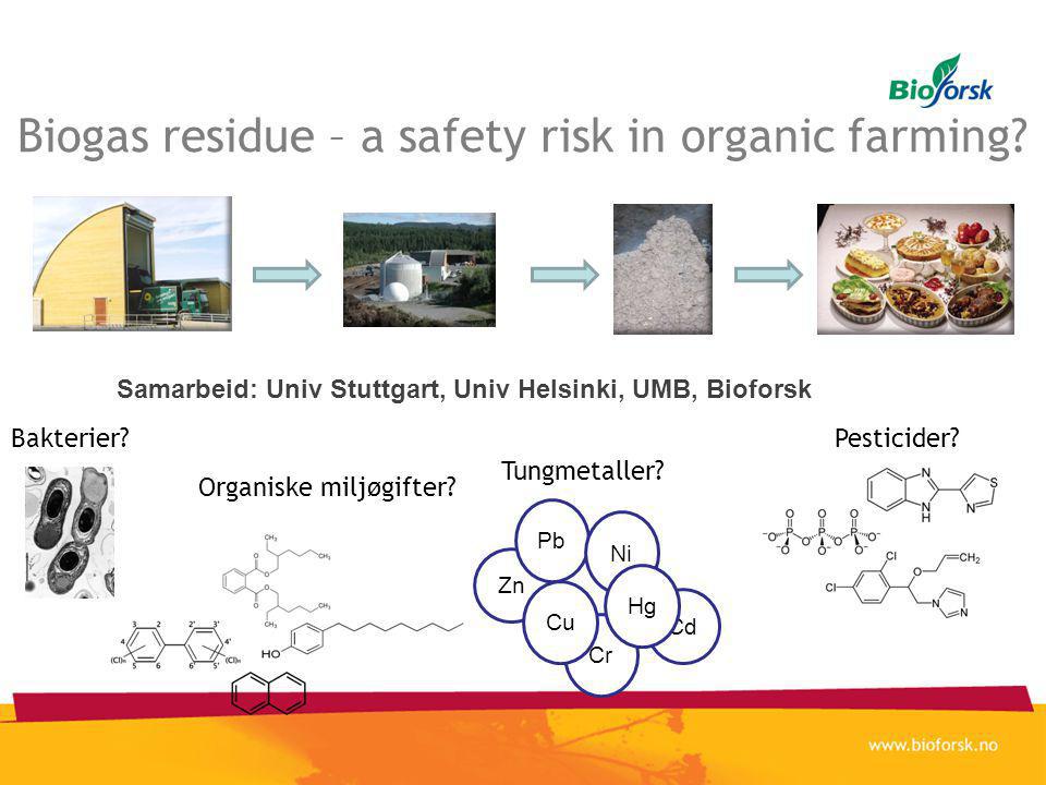 Biogas residue – a safety risk in organic farming.