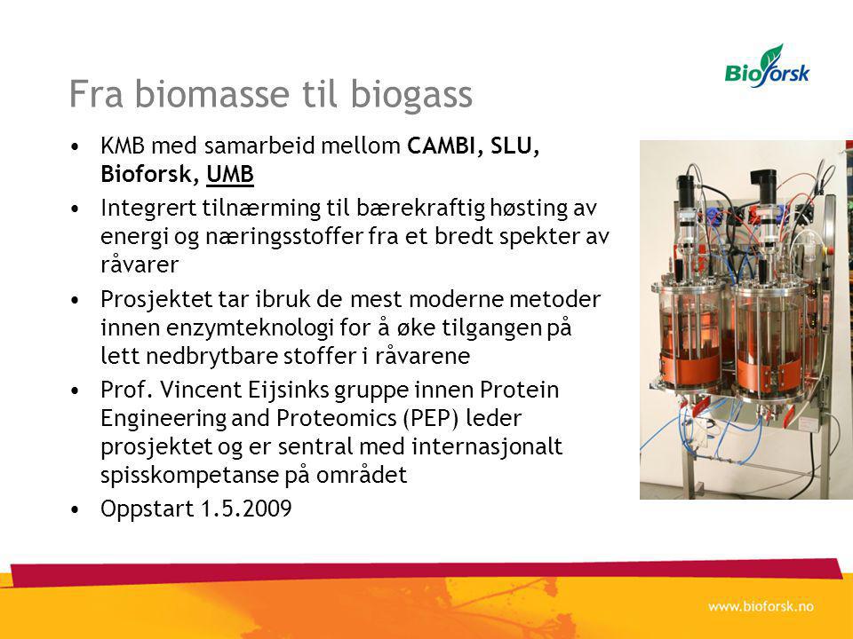Fra biomasse til biogass •KMB med samarbeid mellom CAMBI, SLU, Bioforsk, UMB •Integrert tilnærming til bærekraftig høsting av energi og næringsstoffer fra et bredt spekter av råvarer •Prosjektet tar ibruk de mest moderne metoder innen enzymteknologi for å øke tilgangen på lett nedbrytbare stoffer i råvarene •Prof.