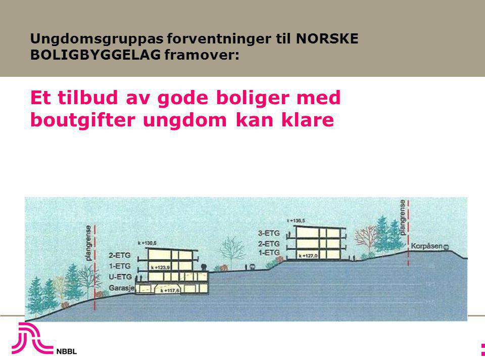 Ungdomsgruppas forventninger til NORSKE BOLIGBYGGELAG framover: Et tilbud av gode boliger med boutgifter ungdom kan klare