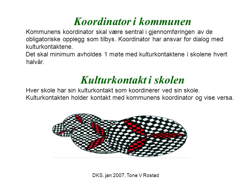 DKS, jan 2007, Tone V Rostad Koordinator i kommunen Kommunens koordinator skal være sentral i gjennomføringen av de obligatoriske opplegg som tilbys.