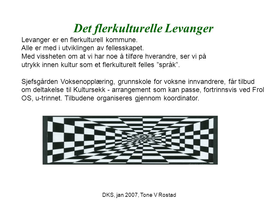 DKS, jan 2007, Tone V Rostad Det flerkulturelle Levanger Levanger er en flerkulturell kommune.