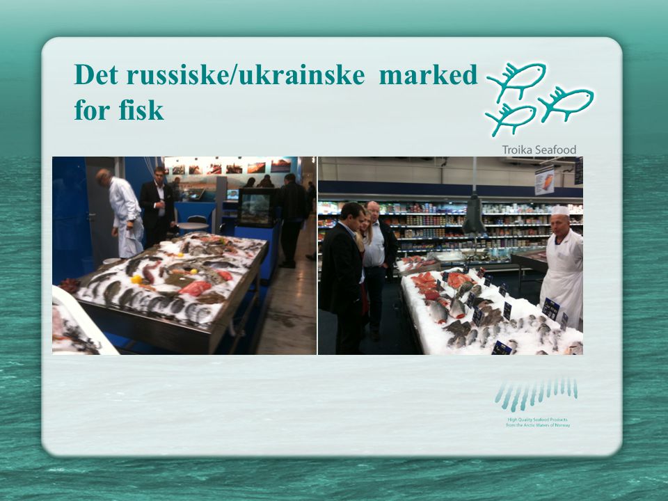 Det russiske/ukrainske marked for fisk