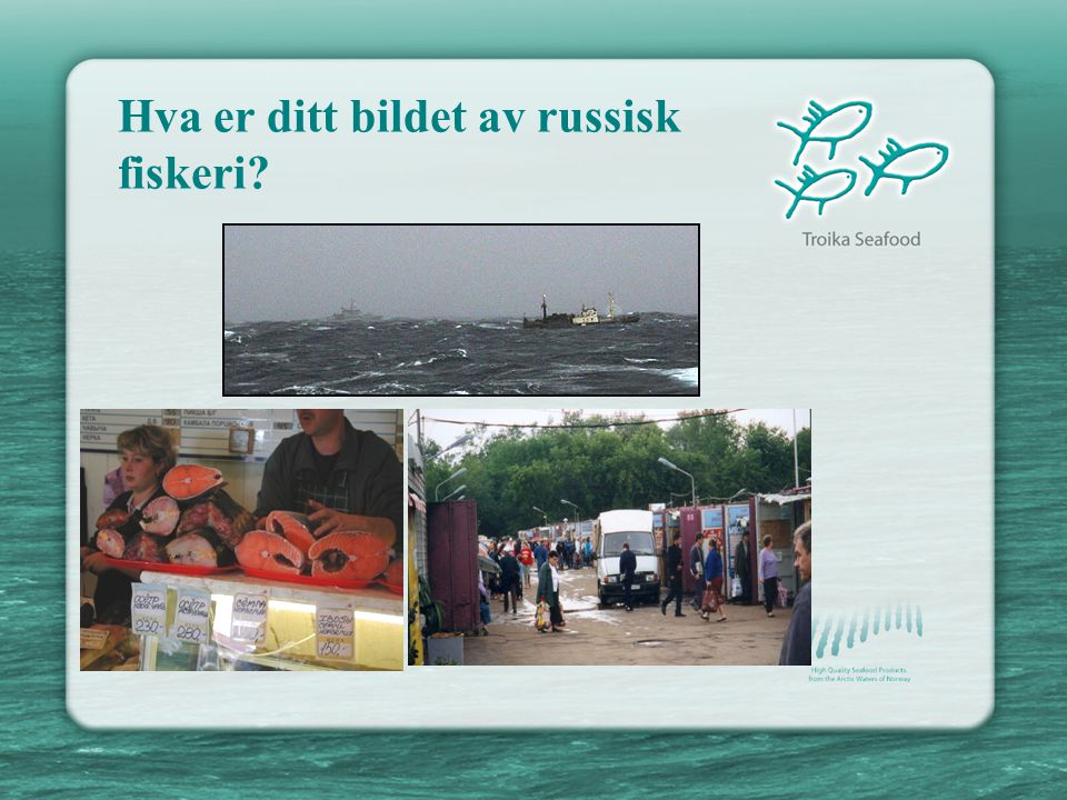 Hva er ditt bildet av russisk fiskeri