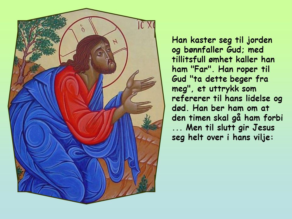 Jesus er i olivenhagen, som ble kalt Getsemane.