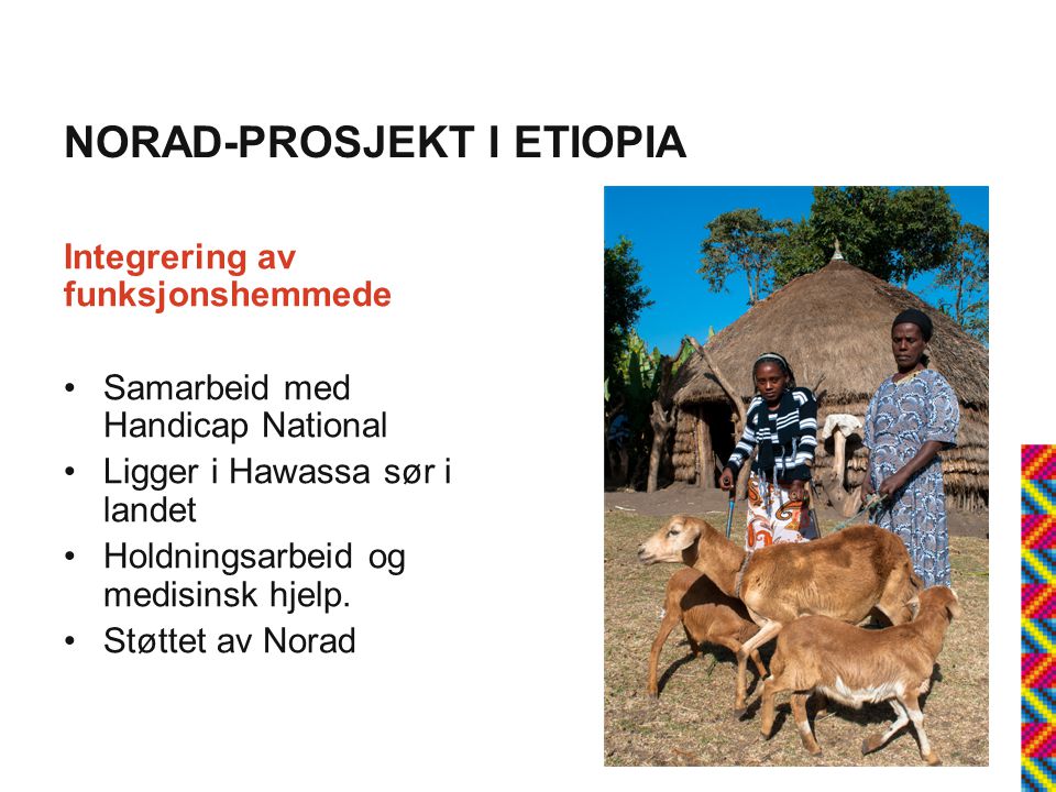 NORAD-PROSJEKT I ETIOPIA Integrering av funksjonshemmede •Samarbeid med Handicap National •Ligger i Hawassa sør i landet •Holdningsarbeid og medisinsk hjelp.