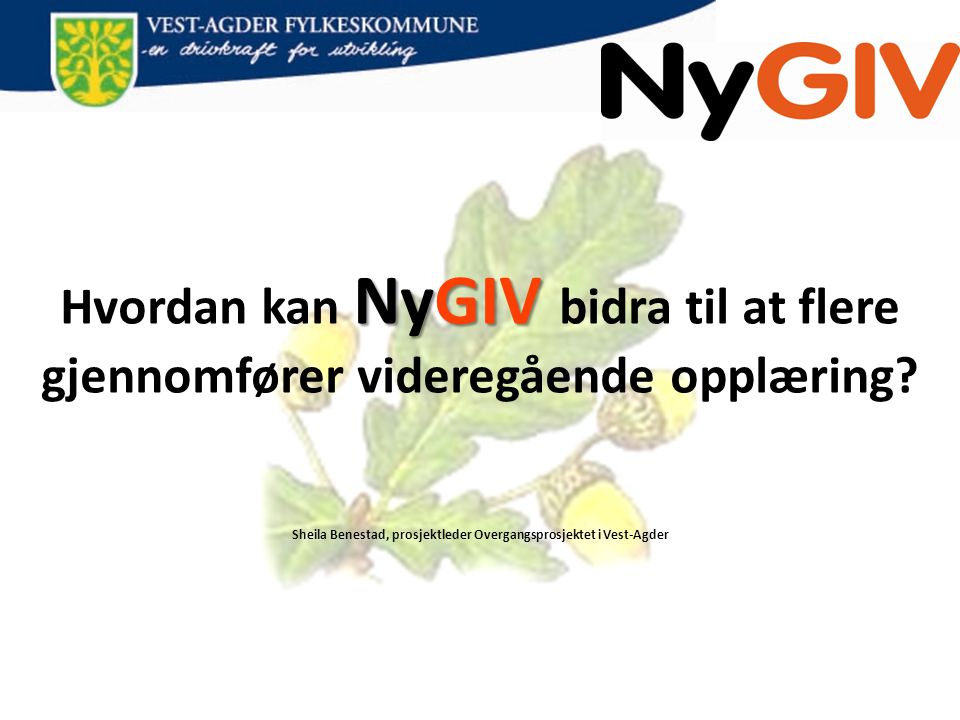 NyGIV Hvordan kan NyGIV bidra til at flere gjennomfører videregående opplæring.