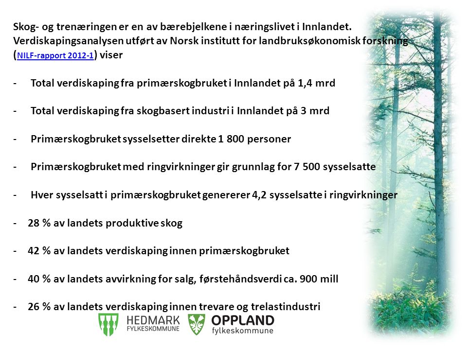 Skog- og trenæringen er en av bærebjelkene i næringslivet i Innlandet.