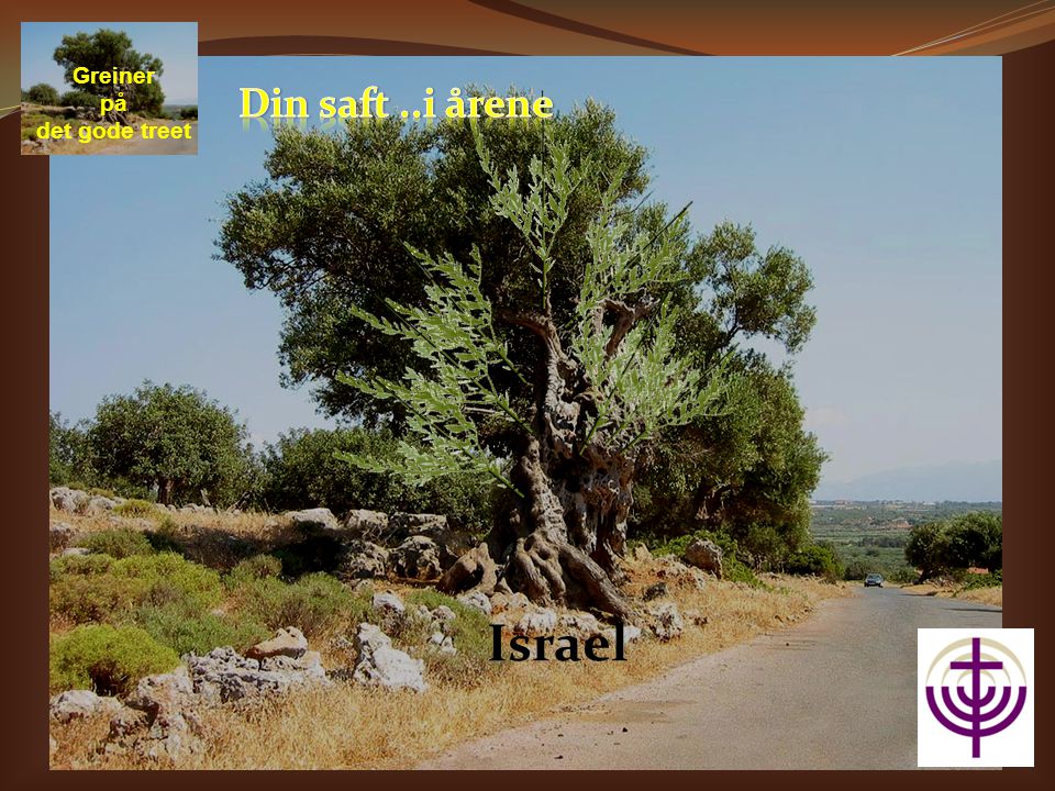 Israel Greiner på det gode treet