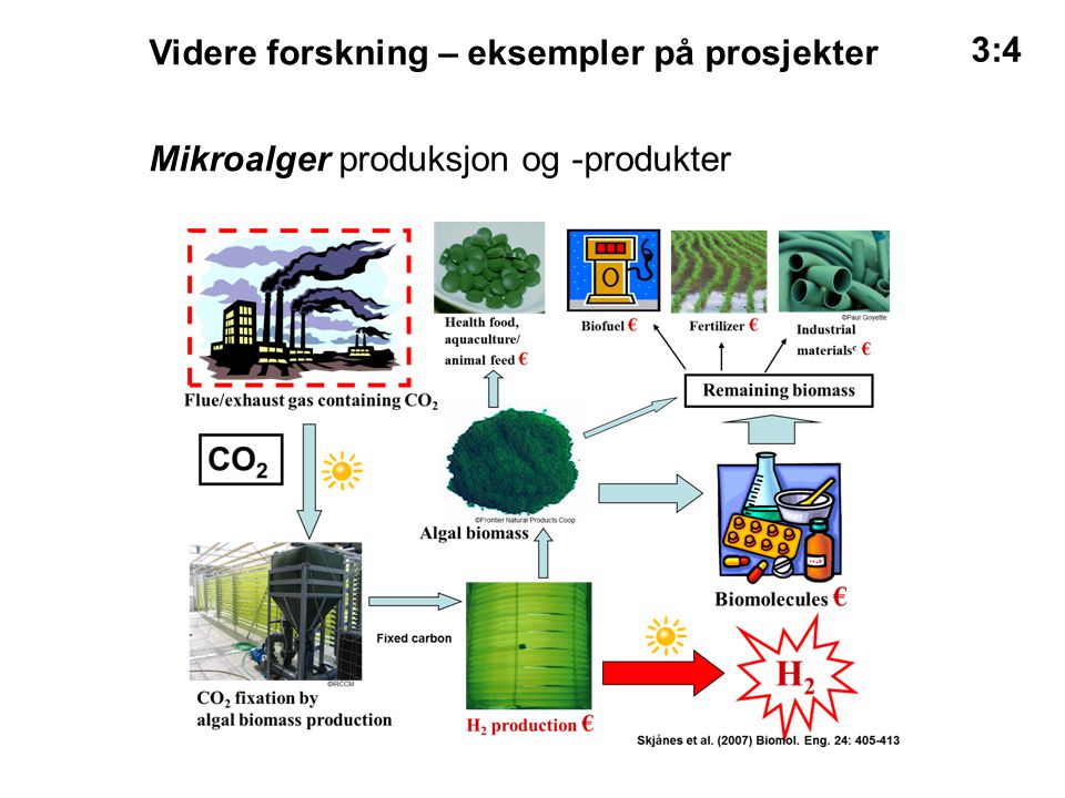 Mikroalger produksjon og -produkter 3:4 Videre forskning – eksempler på prosjekter