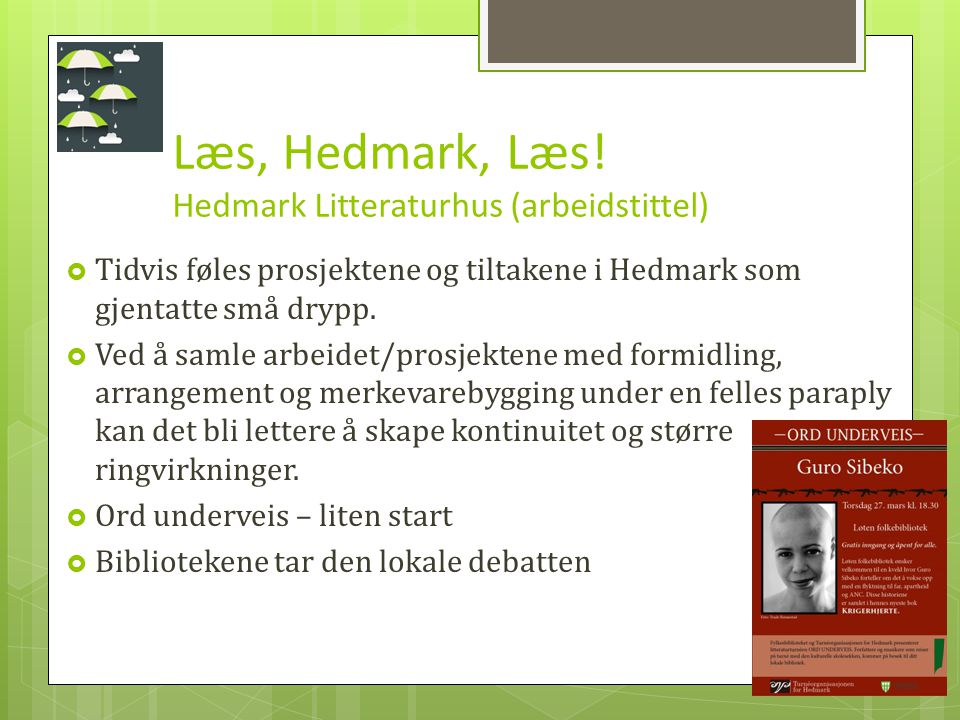 Læs, Hedmark, Læs.