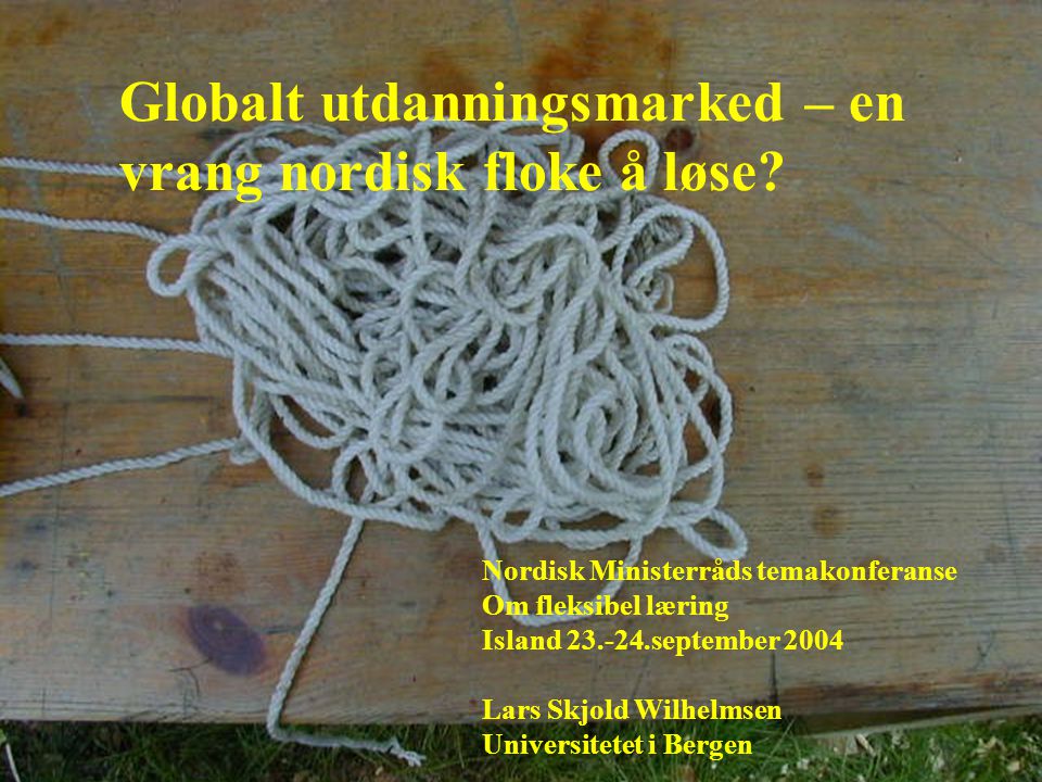 Globalt utdanningsmarked – en vrang nordisk floke å løse.
