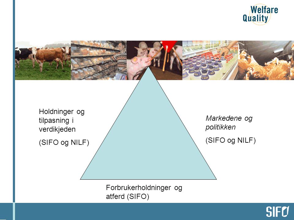 Holdninger og tilpasning i verdikjeden (SIFO og NILF) Forbrukerholdninger og atferd (SIFO) Markedene og politikken (SIFO og NILF) Dyrevelferd i produksjonen (UMB og NILF)