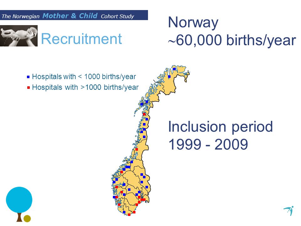 The Norwegian Mother & Child Cohort Study Recruitment Hospitals with < 1000 births/year Hospitals with >1000 births/year Norway  60,000 births/year Inclusion period
